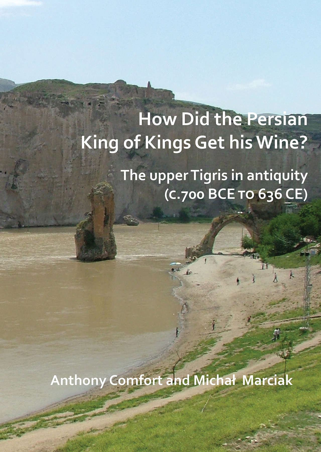 book cover